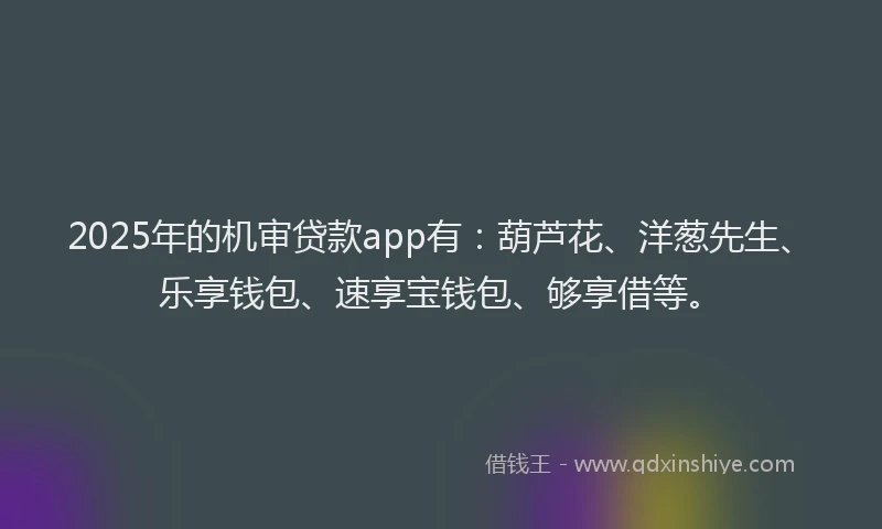 2025年的机审贷款app有：葫芦花、洋葱先生、乐享钱包、速享宝钱包、够享借等。