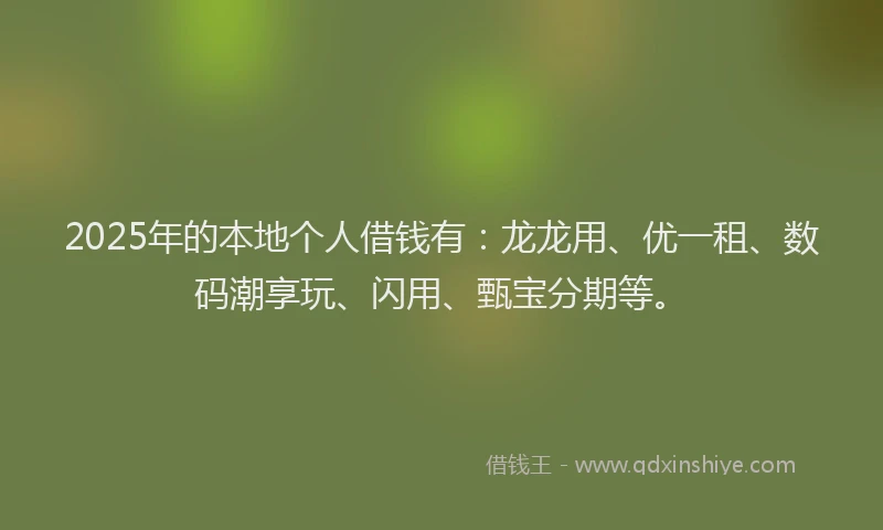 2025年的本地个人借钱有：龙龙用、优一租、数码潮享玩、闪用、甄宝分期等。