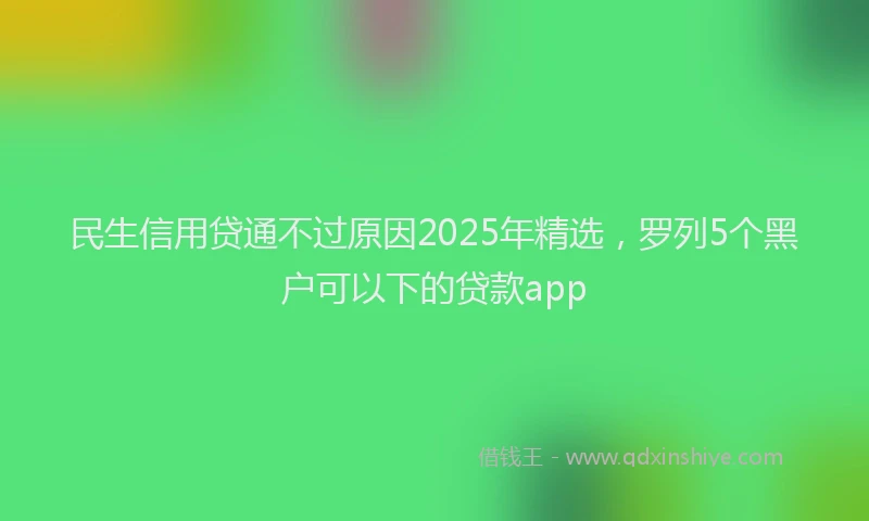 民生信用贷通不过原因2025年精选，罗列5个黑户可以下的贷款app