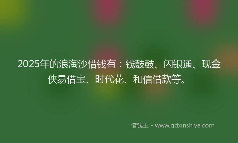 2025年的浪淘沙借钱有：钱鼓鼓、闪银通、现金侠易借宝、时代花、和信借款等。