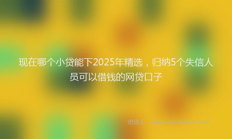 现在哪个小贷能下2025年精选，归纳5个失信人员可以借钱的网贷口子