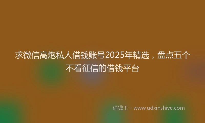 求微信高炮私人借钱账号2025年精选，盘点五个不看征信的借钱平台