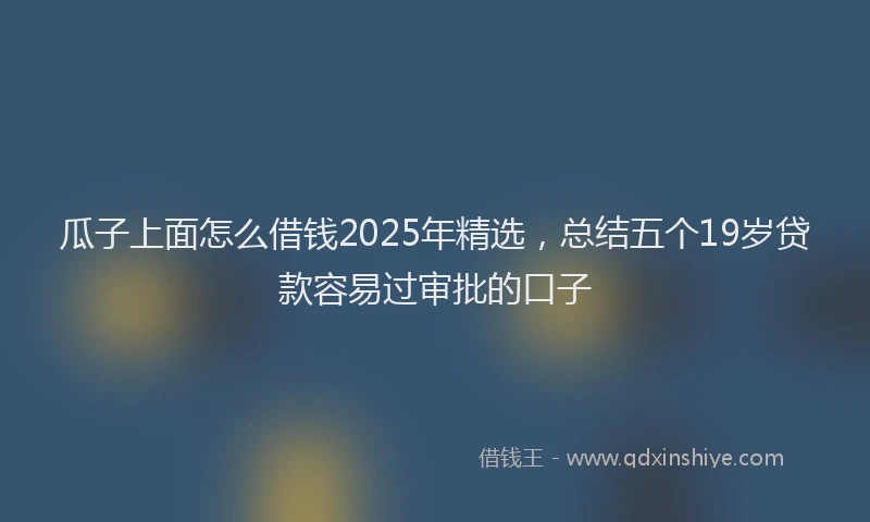 瓜子上面怎么借钱2025年精选，总结五个19岁贷款容易过审批的口子