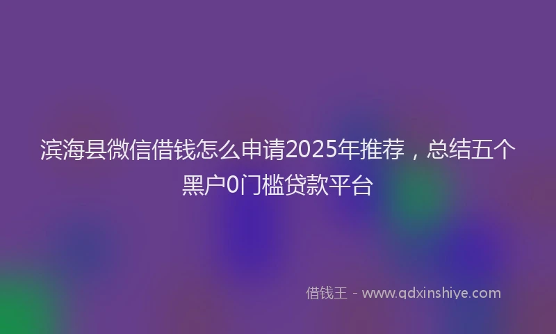 滨海县微信借钱怎么申请2025年推荐，总结五个黑户0门槛贷款平台