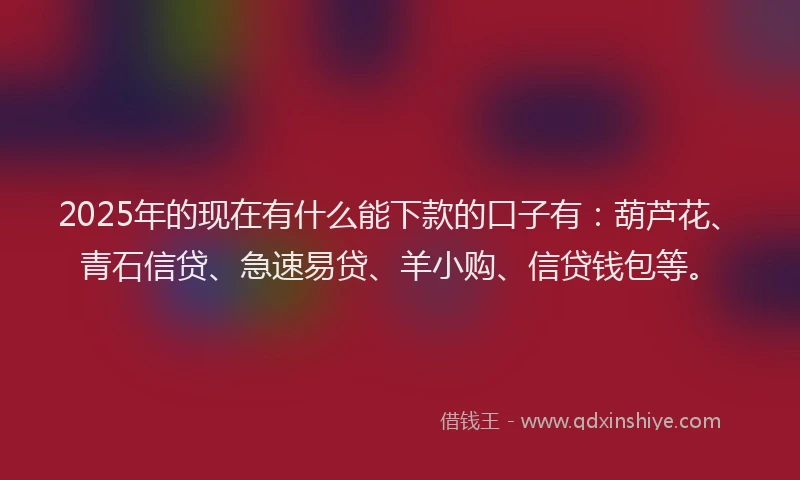 2025年的现在有什么能下款的口子有：葫芦花、青石信贷、急速易贷、羊小购、信贷钱包等。