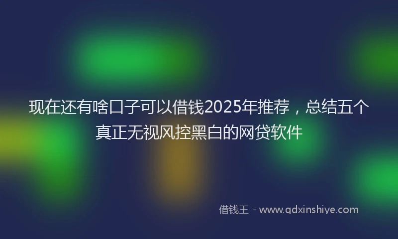 现在还有啥口子可以借钱2025年推荐，总结五个真正无视风控黑白的网贷软件