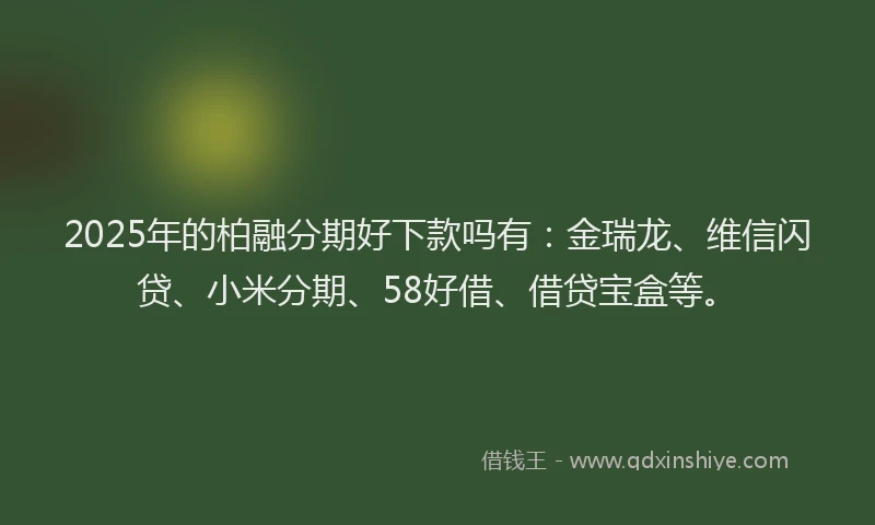 2025年的柏融分期好下款吗有：金瑞龙、维信闪贷、小米分期、58好借、借贷宝盒等。