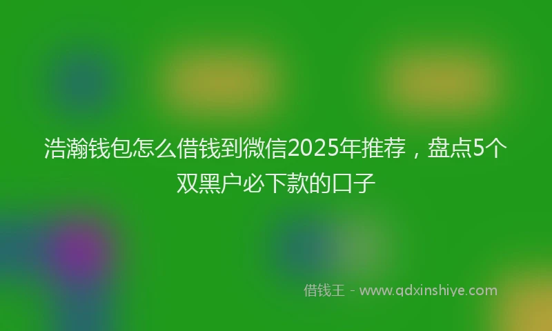 浩瀚钱包怎么借钱到微信2025年推荐，盘点5个双黑户必下款的口子