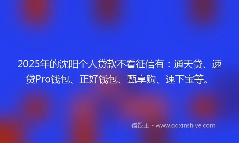 2025年的沈阳个人贷款不看征信有：通天贷、速贷Pro钱包、正好钱包、甄享购、速下宝等。