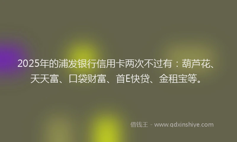 2025年的浦发银行信用卡两次不过有：葫芦花、天天富、口袋财富、首E快贷、金租宝等。