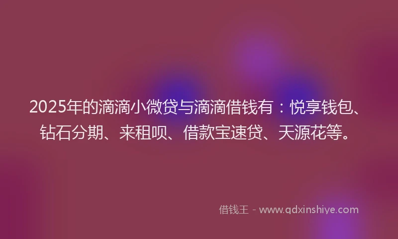 2025年的滴滴小微贷与滴滴借钱有：悦享钱包、钻石分期、来租呗、借款宝速贷、天源花等。