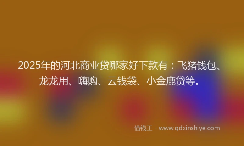 2025年的河北商业贷哪家好下款有：飞猪钱包、龙龙用、嗨购、云钱袋、小金鹿贷等。