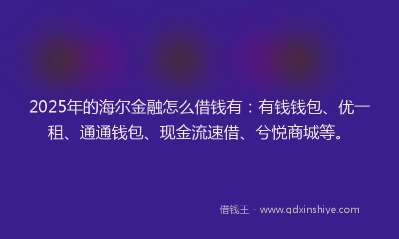 2025年的海尔金融怎么借钱有：有钱钱包、优一租、通通钱包、现金流速借、兮悦商城等。