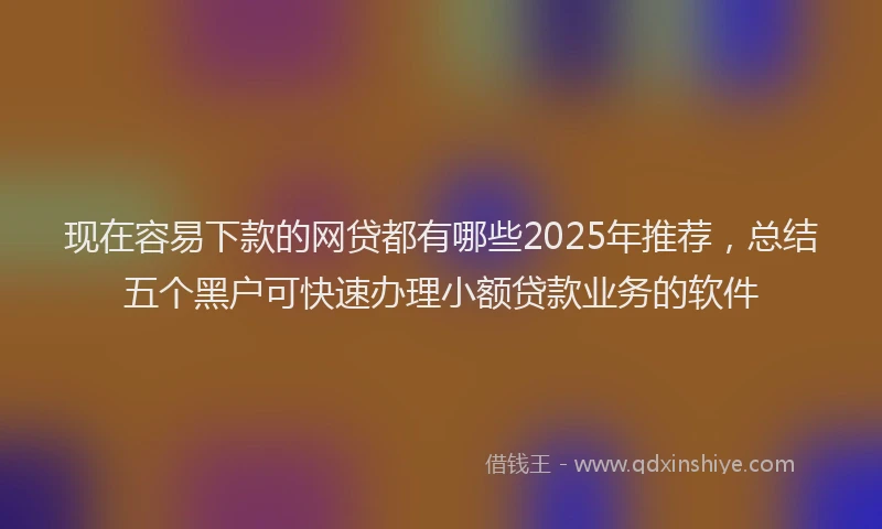 现在容易下款的网贷都有哪些2025年推荐，总结五个黑户可快速办理小额贷款业务的软件