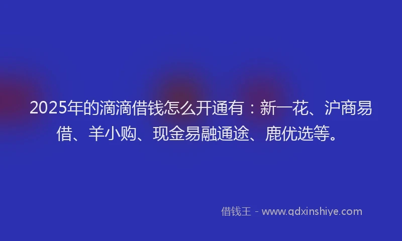 2025年的滴滴借钱怎么开通有：新一花、沪商易借、羊小购、现金易融通途、鹿优选等。
