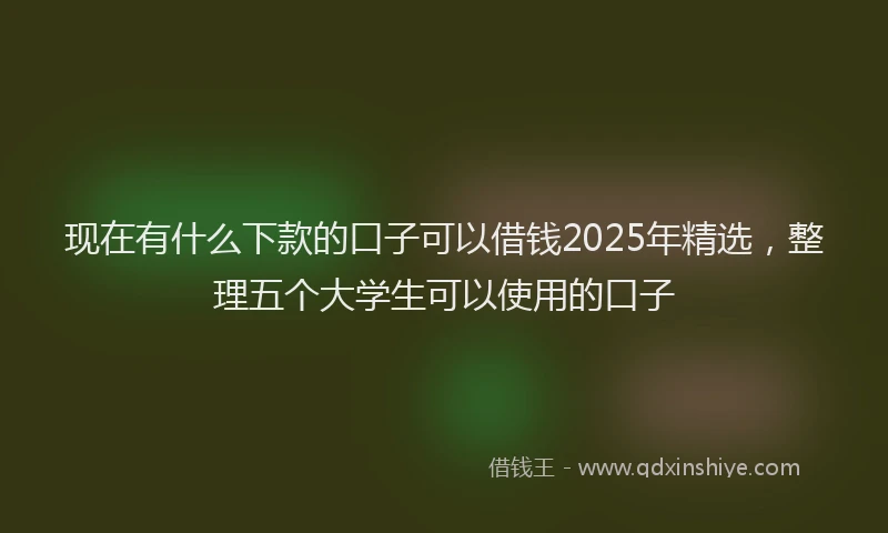 现在有什么下款的口子可以借钱2025年精选，整理五个大学生可以使用的口子