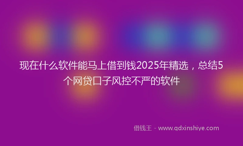 现在什么软件能马上借到钱2025年精选，总结5个网贷口子风控不严的软件
