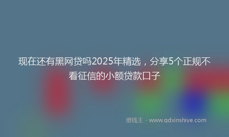 现在还有黑网贷吗2025年精选，分享5个正规不看征信的小额贷款口子