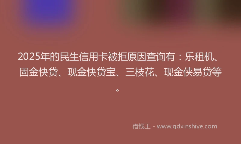 2025年的民生信用卡被拒原因查询有：乐租机、固金快贷、现金快贷宝、三枝花、现金侠易贷等。