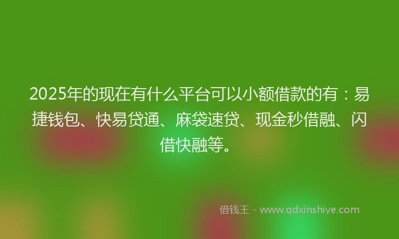2025年的现在有什么平台可以小额借款的有：易捷钱包、快易贷通、麻袋速贷、现金秒借融、闪借快融等。