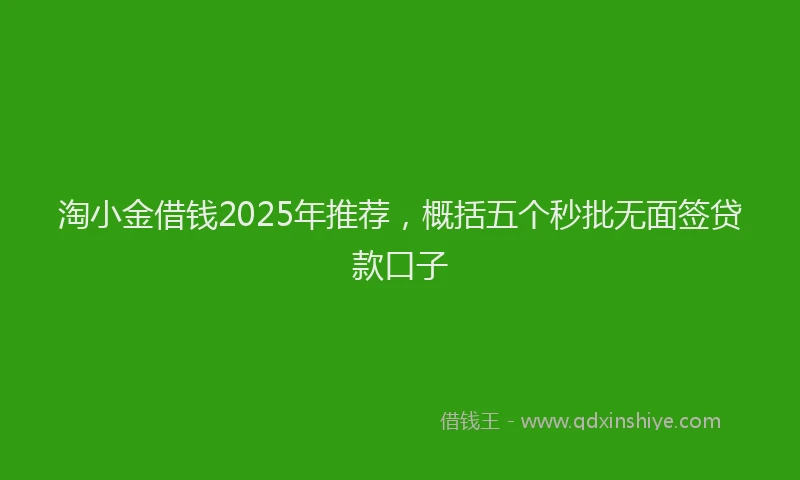 淘小金借钱2025年推荐，概括五个秒批无面签贷款口子