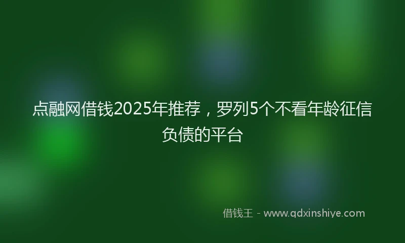 点融网借钱2025年推荐，罗列5个不看年龄征信负债的平台