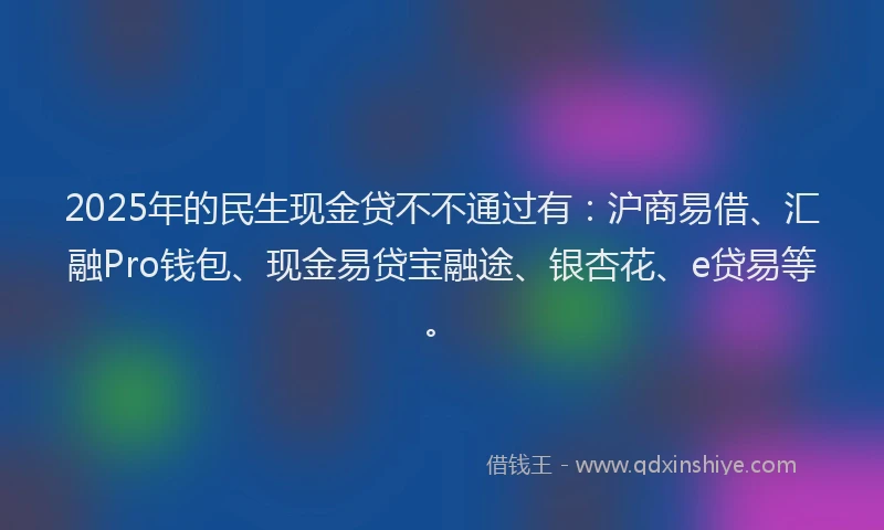 2025年的民生现金贷不不通过有：沪商易借、汇融Pro钱包、现金易贷宝融途、银杏花、e贷易等。