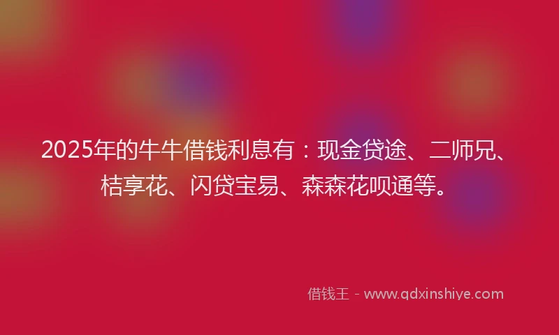 2025年的牛牛借钱利息有：现金贷途、二师兄、桔享花、闪贷宝易、森森花呗通等。
