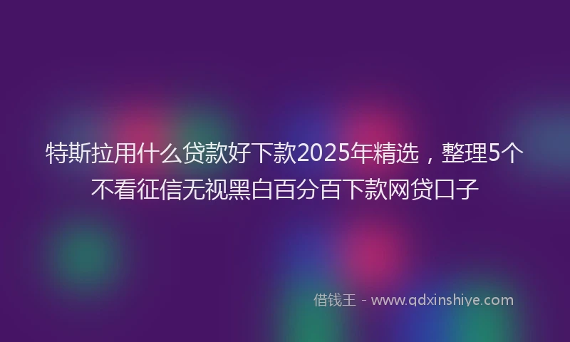 特斯拉用什么贷款好下款2025年精选，整理5个不看征信无视黑白百分百下款网贷口子