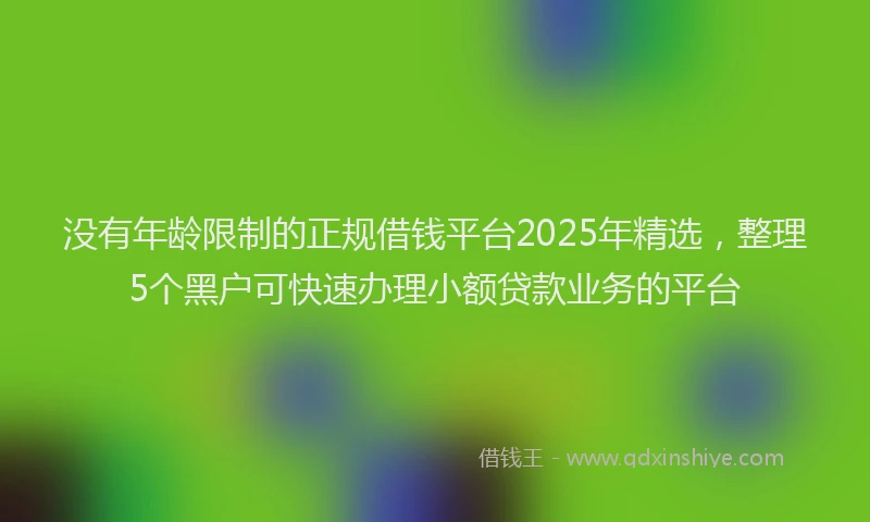 没有年龄限制的正规借钱平台2025年精选，整理5个黑户可快速办理小额贷款业务的平台