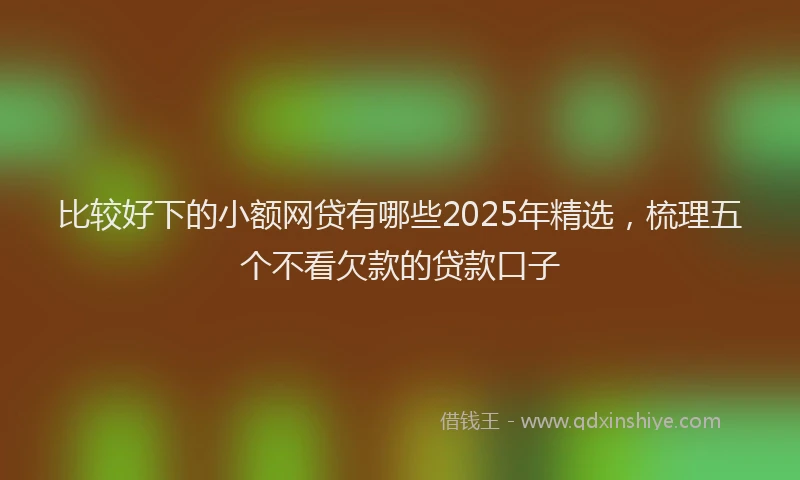 比较好下的小额网贷有哪些2025年精选，梳理五个不看欠款的贷款口子