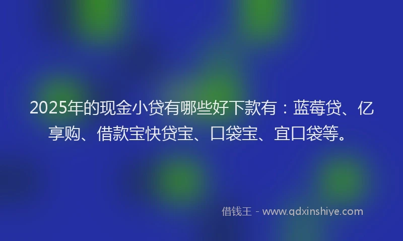 2025年的现金小贷有哪些好下款有：蓝莓贷、亿享购、借款宝快贷宝、口袋宝、宜口袋等。
