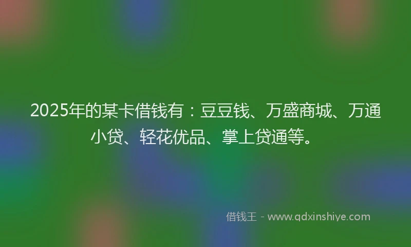 2025年的某卡借钱有：豆豆钱、万盛商城、万通小贷、轻花优品、掌上贷通等。