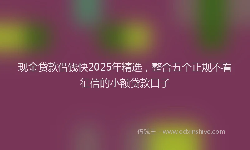 现金贷款借钱快2025年精选，整合五个正规不看征信的小额贷款口子