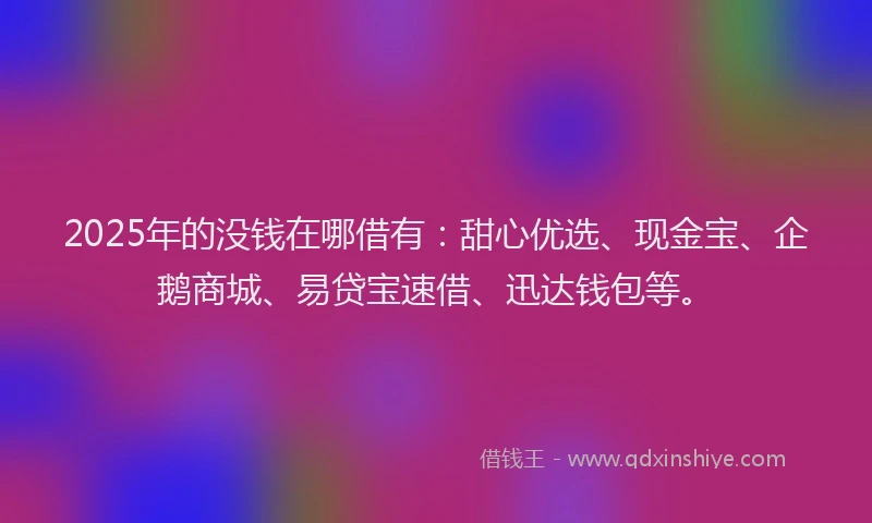 2025年的没钱在哪借有：甜心优选、现金宝、企鹅商城、易贷宝速借、迅达钱包等。