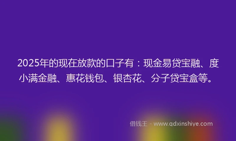 2025年的现在放款的口子有：现金易贷宝融、度小满金融、惠花钱包、银杏花、分子贷宝盒等。