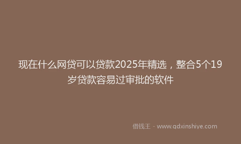现在什么网贷可以贷款2025年精选，整合5个19岁贷款容易过审批的软件