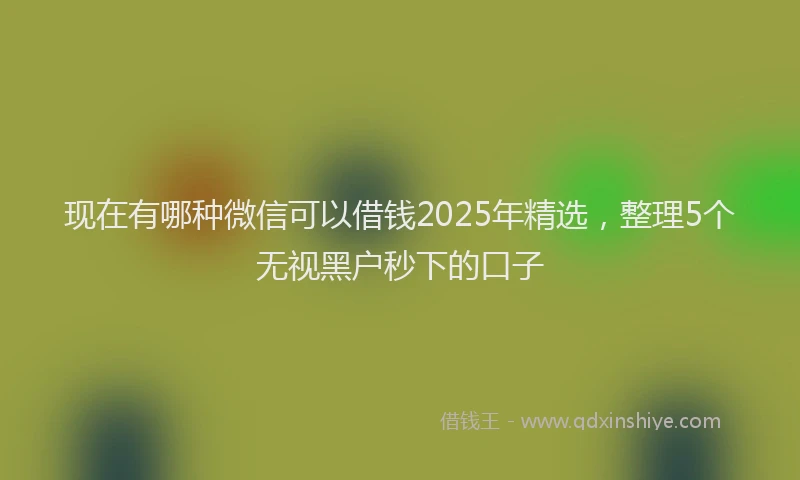 现在有哪种微信可以借钱2025年精选，整理5个无视黑户秒下的口子