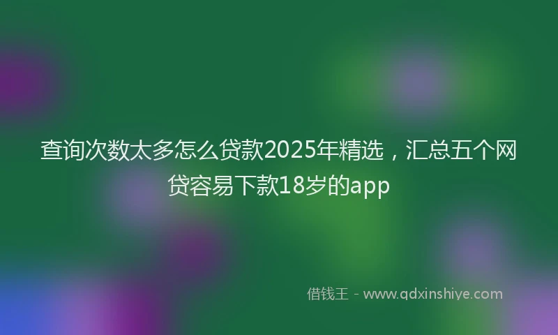 查询次数太多怎么贷款2025年精选，汇总五个网贷容易下款18岁的app