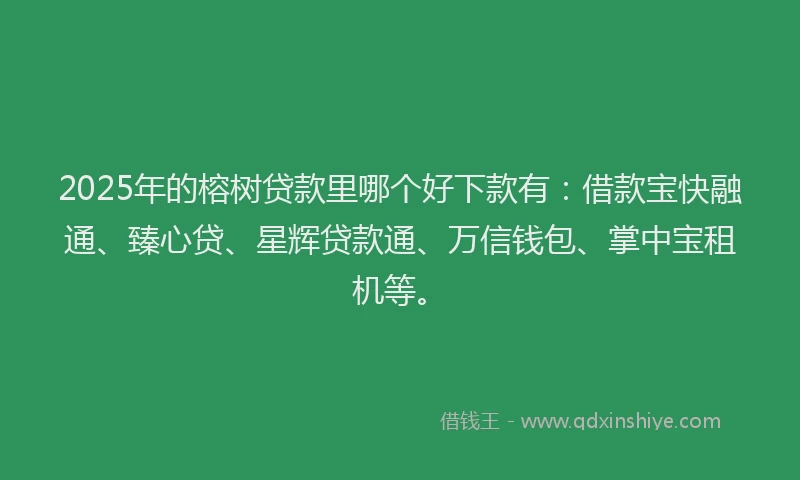 2025年的榕树贷款里哪个好下款有：借款宝快融通、臻心贷、星辉贷款通、万信钱包、掌中宝租机等。