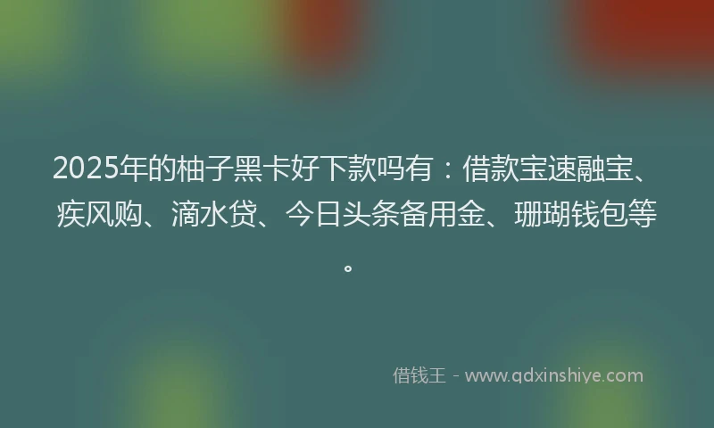 2025年的柚子黑卡好下款吗有：借款宝速融宝、疾风购、滴水贷、今日头条备用金、珊瑚钱包等。