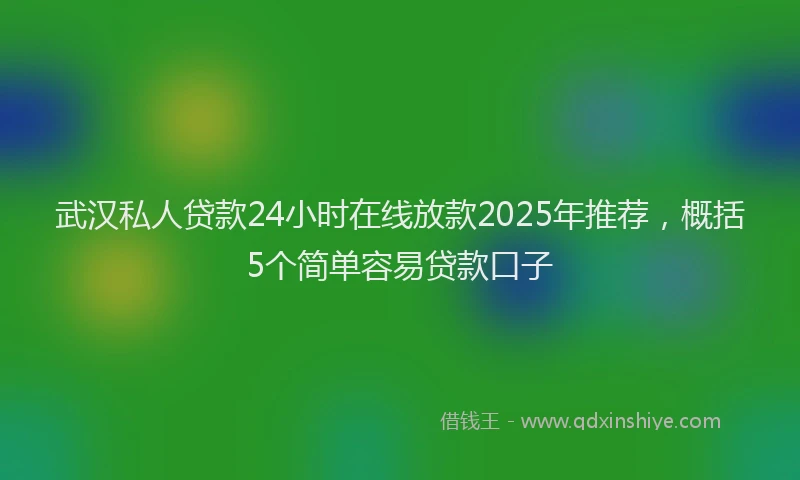 武汉私人贷款24小时在线放款2025年推荐，概括5个简单容易贷款口子