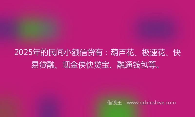 2025年的民间小额信贷有：葫芦花、极速花、快易贷融、现金侠快贷宝、融通钱包等。