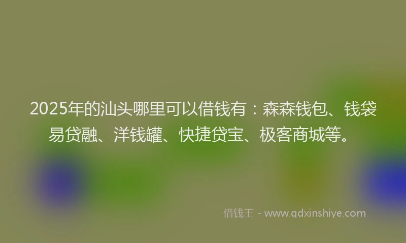 2025年的汕头哪里可以借钱有：森森钱包、钱袋易贷融、洋钱罐、快捷贷宝、极客商城等。