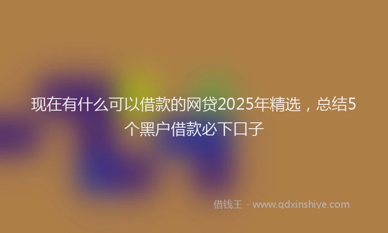 现在有什么可以借款的网贷2025年精选，总结5个黑户借款必下口子