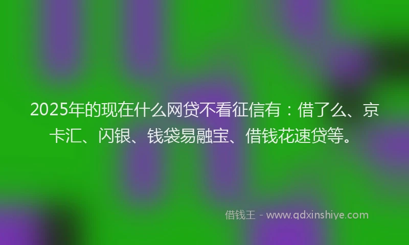 2025年的现在什么网贷不看征信有：借了么、京卡汇、闪银、钱袋易融宝、借钱花速贷等。