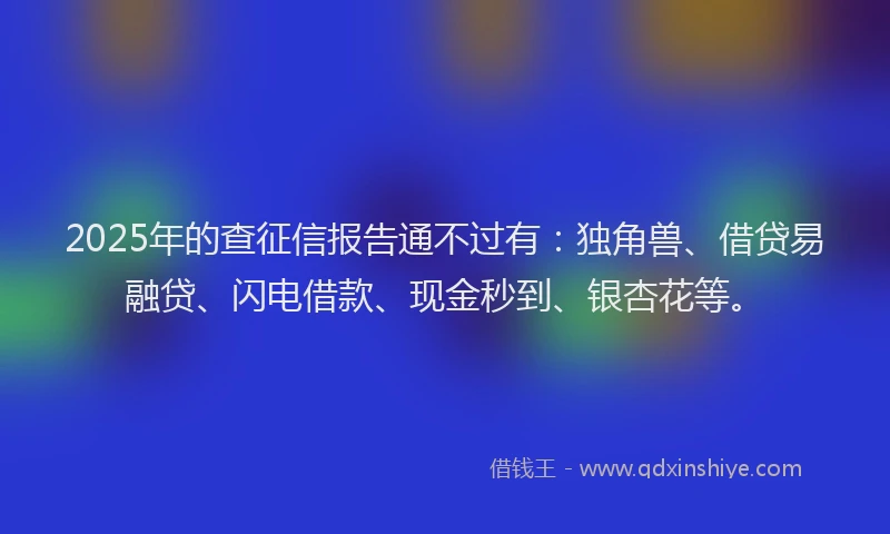 2025年的查征信报告通不过有：独角兽、借贷易融贷、闪电借款、现金秒到、银杏花等。