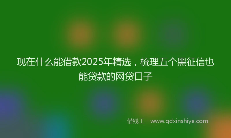 现在什么能借款2025年精选，梳理五个黑征信也能贷款的网贷口子