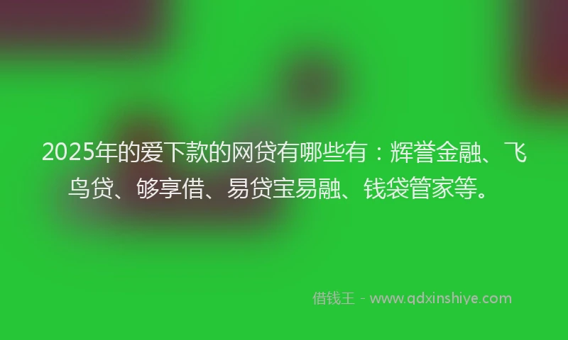 2025年的爱下款的网贷有哪些有：辉誉金融、飞鸟贷、够享借、易贷宝易融、钱袋管家等。