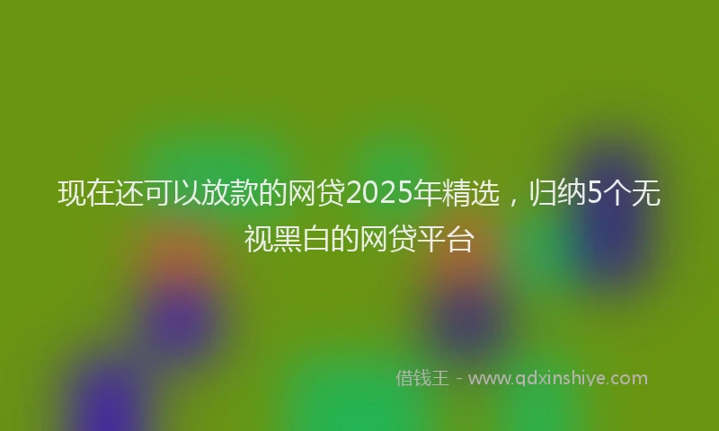 现在还可以放款的网贷2025年精选，归纳5个无视黑白的网贷平台